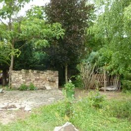 Káptalantóti Liliomkert Káptalantóti - Egyéb