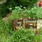 Káptalantóti Liliomkert Káptalantóti - 