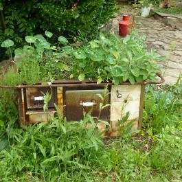 Káptalantóti Liliomkert Káptalantóti - Egyéb