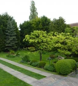 Rotburger Látványsörfőzde, Söröző & Sörkert