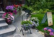 Rotburger Látványsörfőzde, Söröző & Sörkert Pilisvörösvár