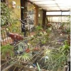 Szimpla Kert Budapest - Egyéb