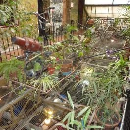 Szimpla Kert Budapest - Egyéb