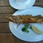 Vitorlás Bisztró Keszthely - Étel/ital