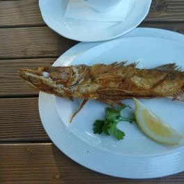 Vitorlás Bisztró, Keszthely - Étel/ital