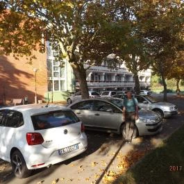 Komfort Hotel Platán Harkány - Medence/kert