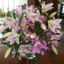 Hunguest Saliris, Egerszalók - Egyéb