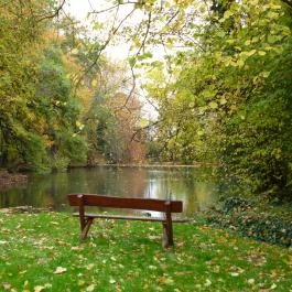 Ensana Thermal Sárvár, Sárvár - Környék