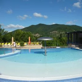 Thermal Hotel Visegrád, Visegrád - Medence/kert