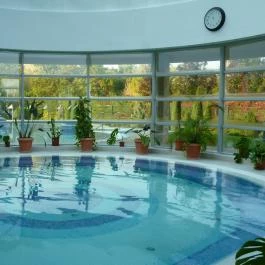 Thermal Hotel Visegrád, Visegrád - Wellness