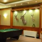 Thermal Hotel Visegrád Visegrád - Szórakozás/Sport