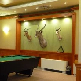 Thermal Hotel Visegrád, Visegrád - Szórakozás/Sport