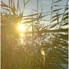 Hotel Juventus Velence - Környék