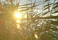 Hotel Juventus Velence