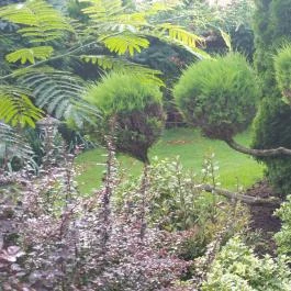 Green Park Villa Wellness & Tréning Eger - Környék