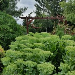 Green Park Villa Wellness & Tréning Eger - Környék