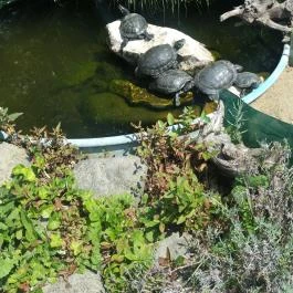 Green Park Villa Wellness & Tréning Eger - Környék