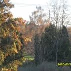 Lotti Vendégház Vonyarcvashegy - Környék