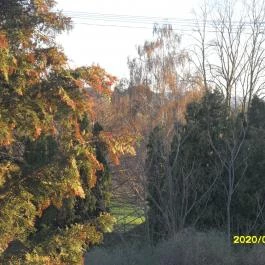 Lotti Vendégház Vonyarcvashegy - Környék