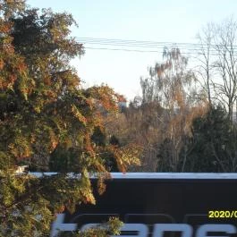 Lotti Vendégház Vonyarcvashegy - Környék