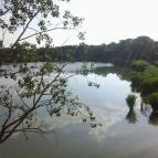 Hotel Corvus Aqua Orosháza - Környék