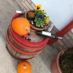 Judit Étterem, Borozó & Panzió Hajós - Egyéb