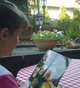 Aranyfácán Vendéglő