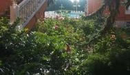 Hotel Bellevue, Esztergom