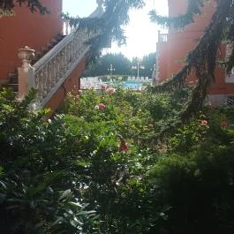 Hotel Bellevue Esztergom - Medence/kert