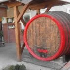 Pincelakat Borház & Szálloda Császártöltés - Külső kép