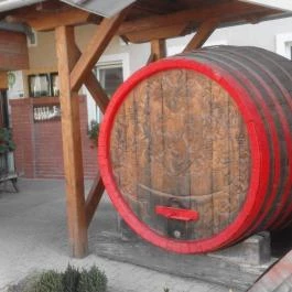 Pincelakat Borház & Szálloda Császártöltés - Külső kép