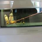 Petőfi Szülőház és Emlékmúzeum Kiskőrös - 