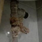 Szundi Vendégház Nyíregyháza - Belső