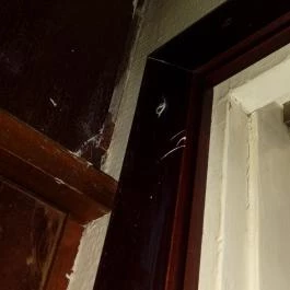 Hotel Palatinus City Center Pécs - Belső