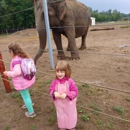 Richter Safari Park Nagykőrös - Egyéb