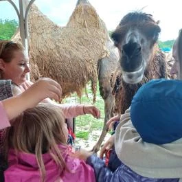 Richter Safari Park Nagykőrös - Egyéb