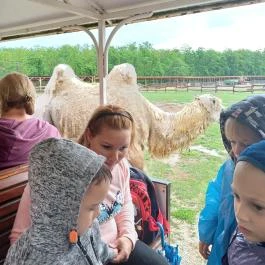 Richter Safari Park Nagykőrös - Egyéb