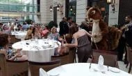 Corinthia Hotel Budapest Budapest - Vendéglátás Corinthia Hotel Budapest Budapest - Vendéglátás