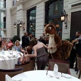 Corinthia Hotel Budapest, Budapest - Vendéglátás