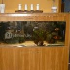 Aqua Hotel Kistelek Kistelek - Belső