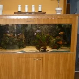 Aqua Hotel Kistelek Kistelek - Belső