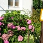 Bükk Vendégház Miskolc - Környék