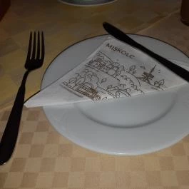 Diósgyőri Várkert Panzió, Miskolc - Vendéglátás