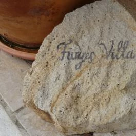 Fürjes Villa Balatonfüred - Egyéb