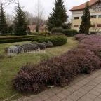 Hotel Forrás Zalakaros Zalakaros - Környék