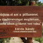 Hotel Panoráma Balatongyörök Balatongyörök - Egyéb