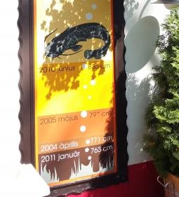 Kiskőrössy Halászcsárda