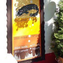 Kiskőrössy Halászcsárda, Szeged - Külső kép