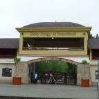 Nefelejcs Hotel Mezőkövesd - Környék