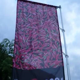 Wellness Hotel Kalocsa, Kalocsa - Egyéb